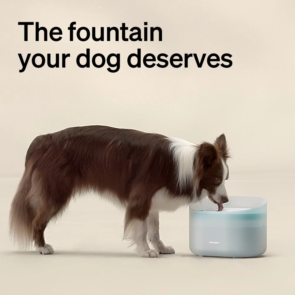 Capsule Dog Water Fountain - Image 2