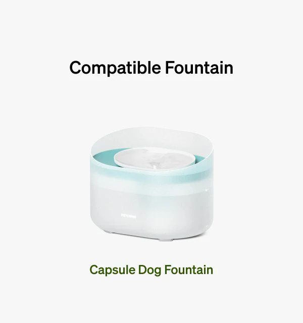 Capsule Dog Fountain Replacement Filter Subscription - Image 2