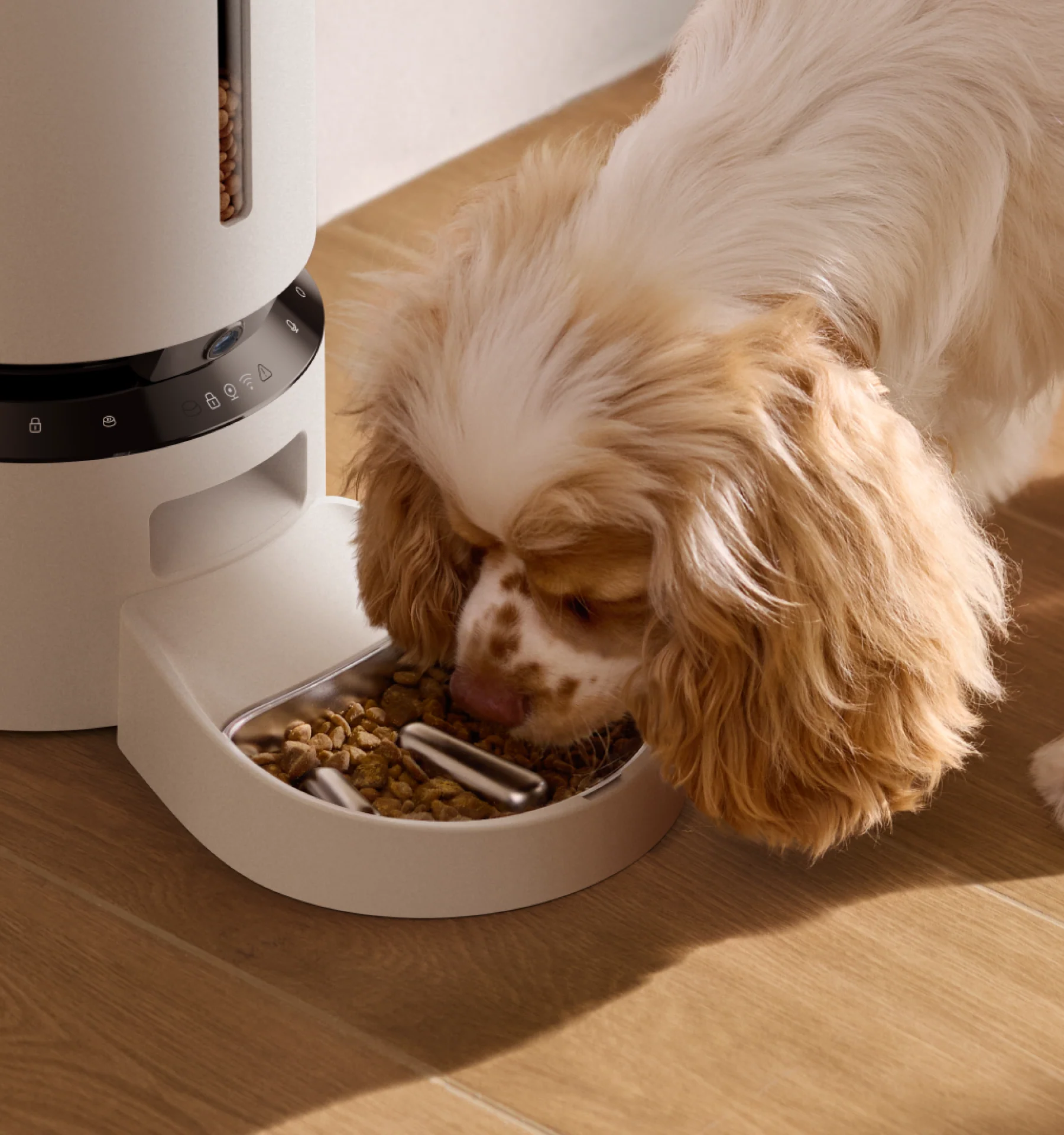 Granary Slow Feeder Bowl - Image 3