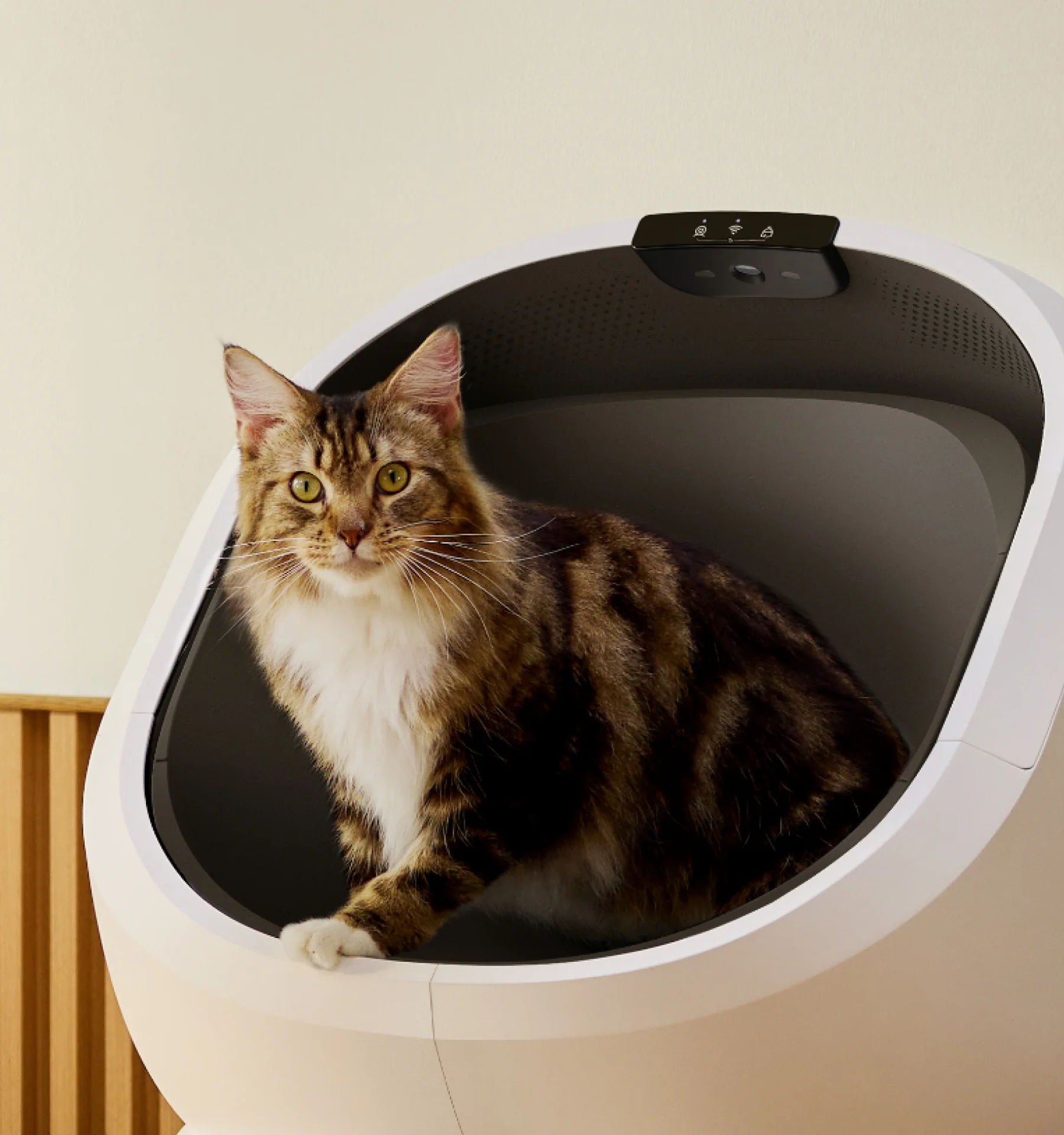 Luma Smart Litter Box with gift - Image 5