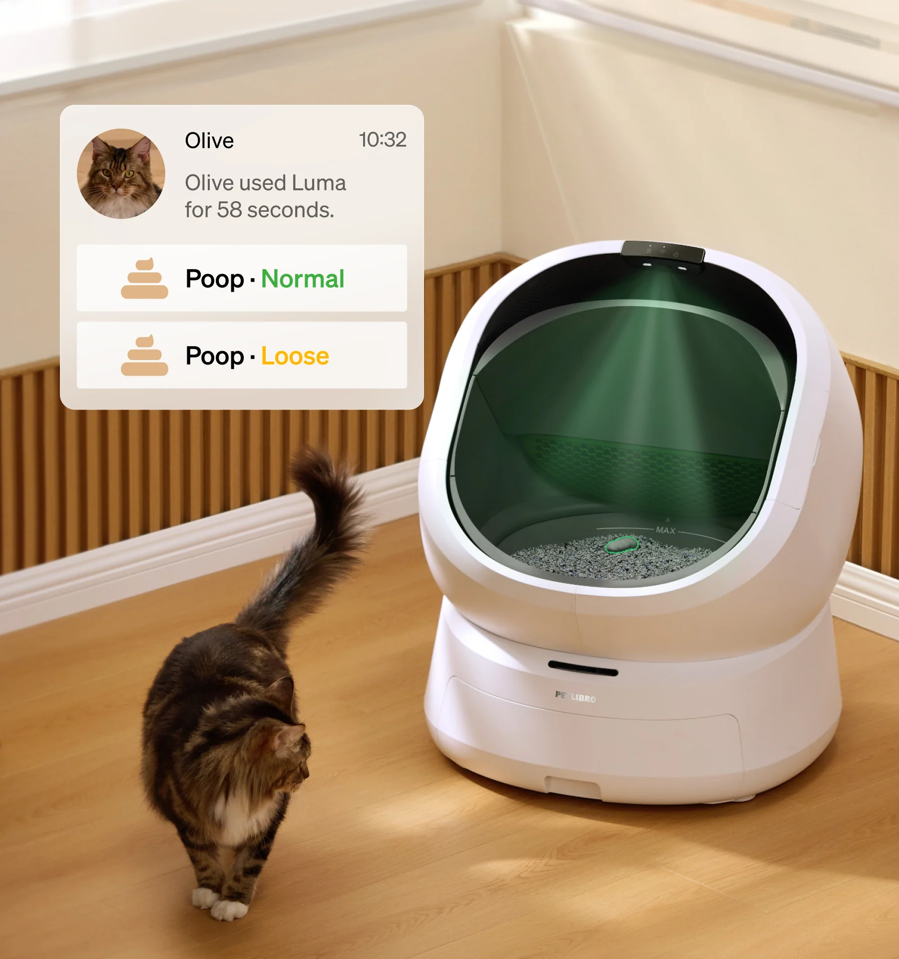 Luma Smart Litter Box with gift - Image 6