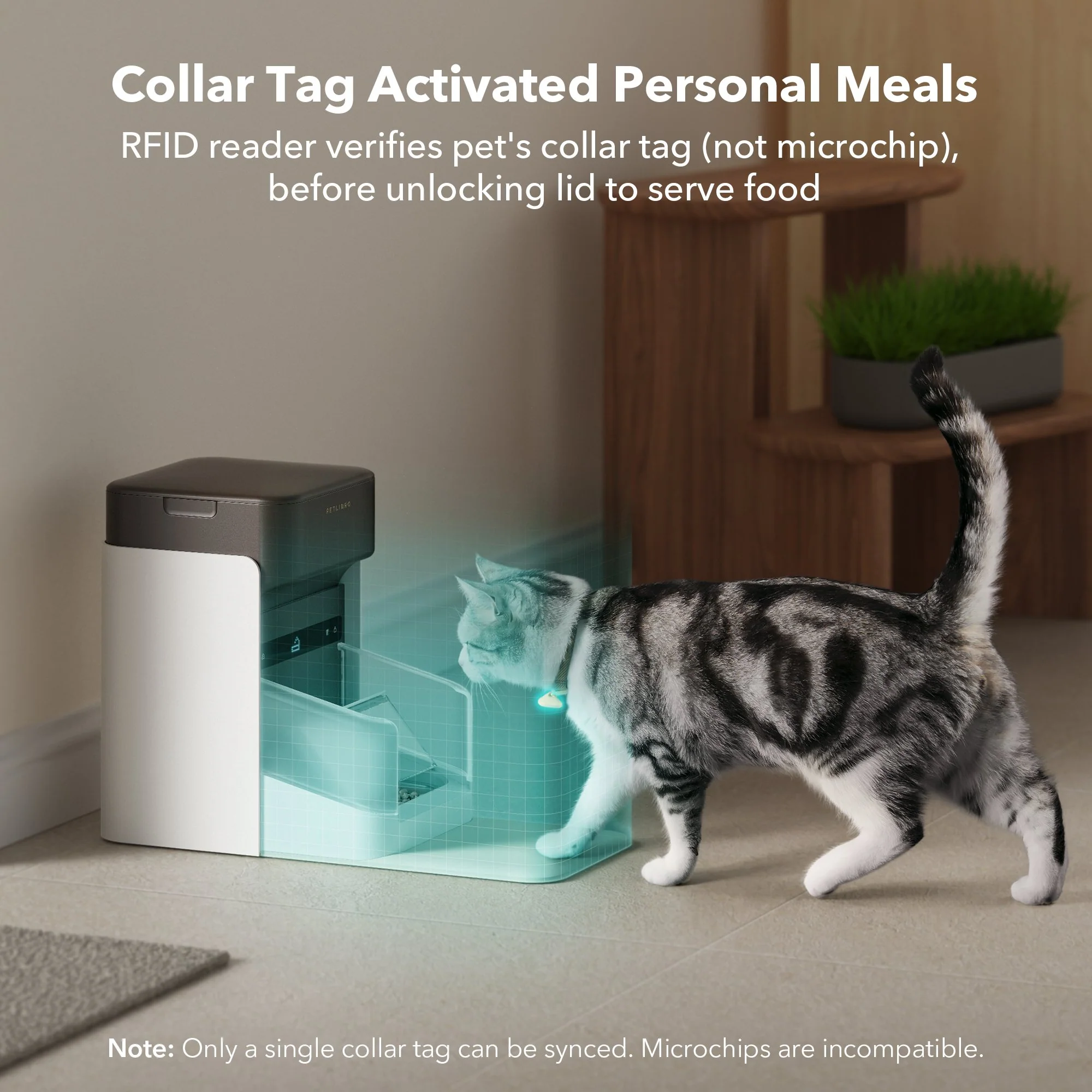 One RFID Smart Feeder - Image 3