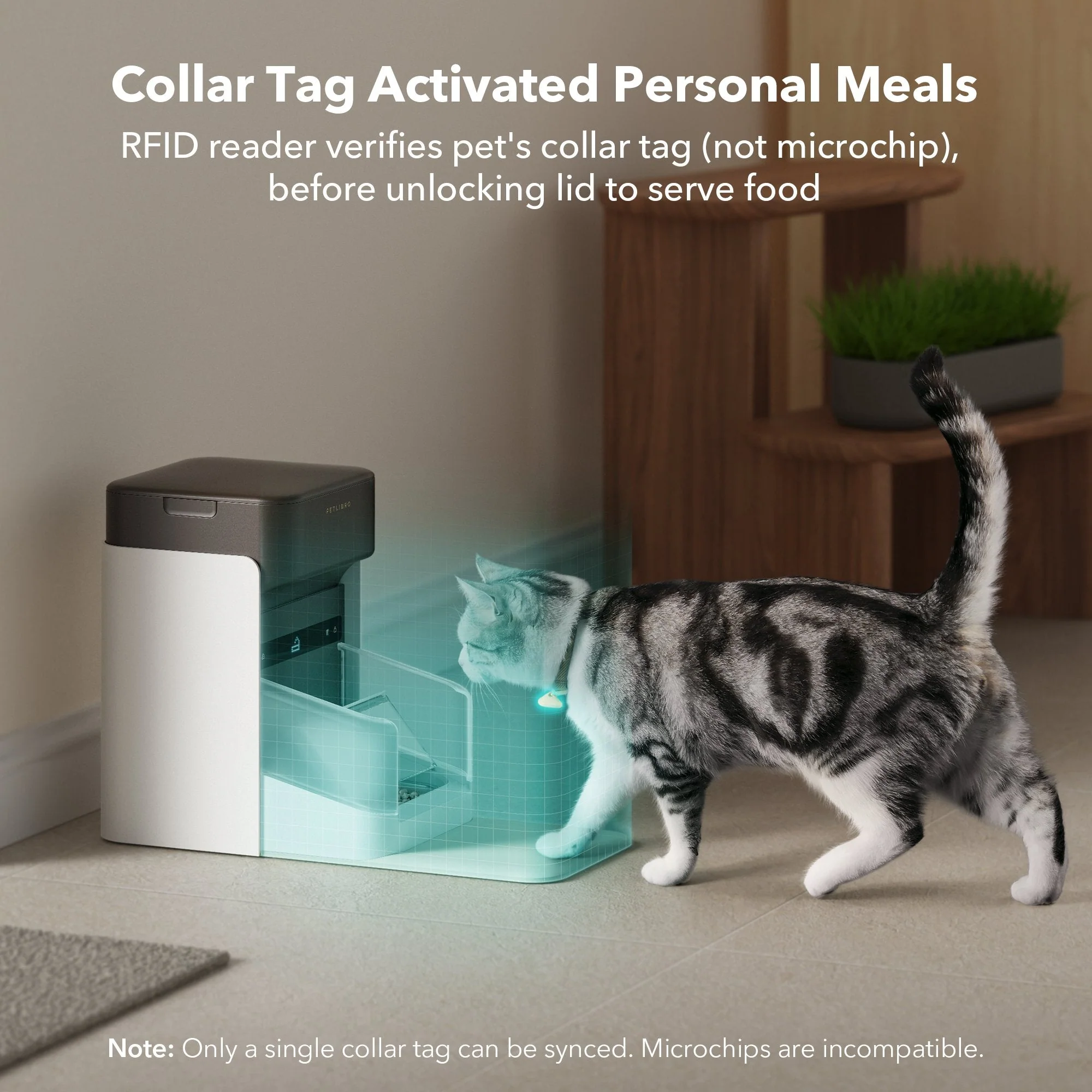 One RFID Smart Feeder - Image 4