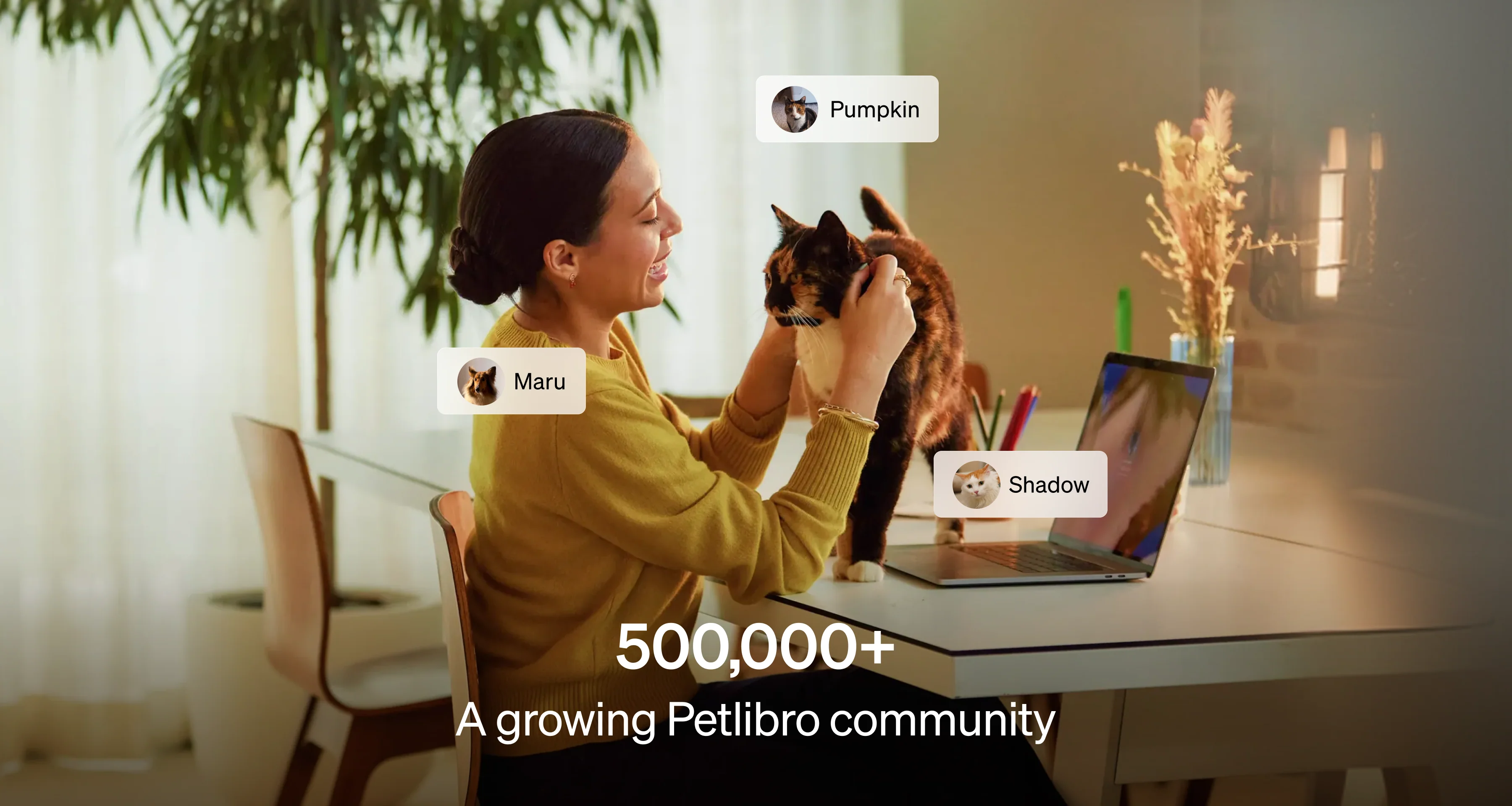 Petlibro Care - Image 8