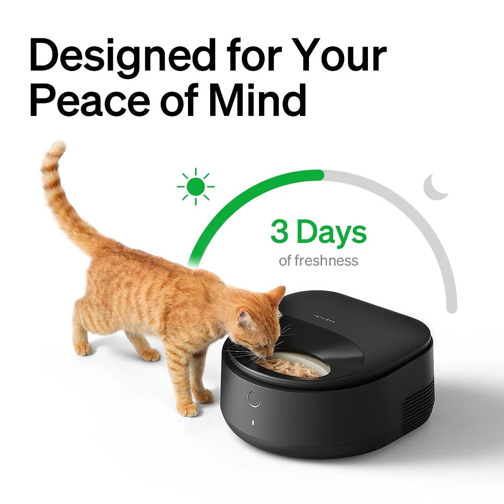 Polar Wet Food Feeder & RFID Smart Fountain Bundle - Image 3