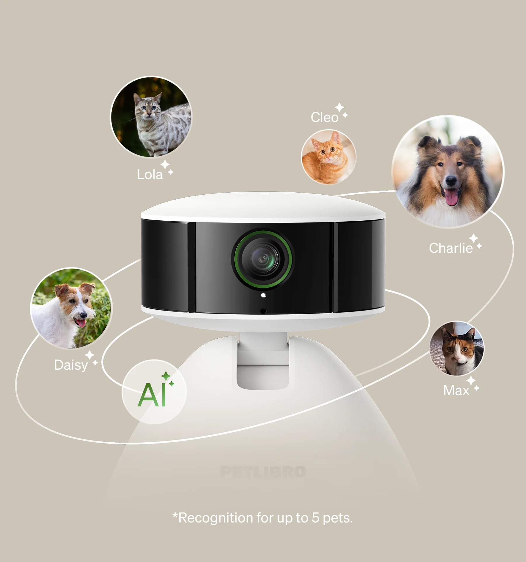 RFID Smart Feeder & Scout Smart Camera - Image 7