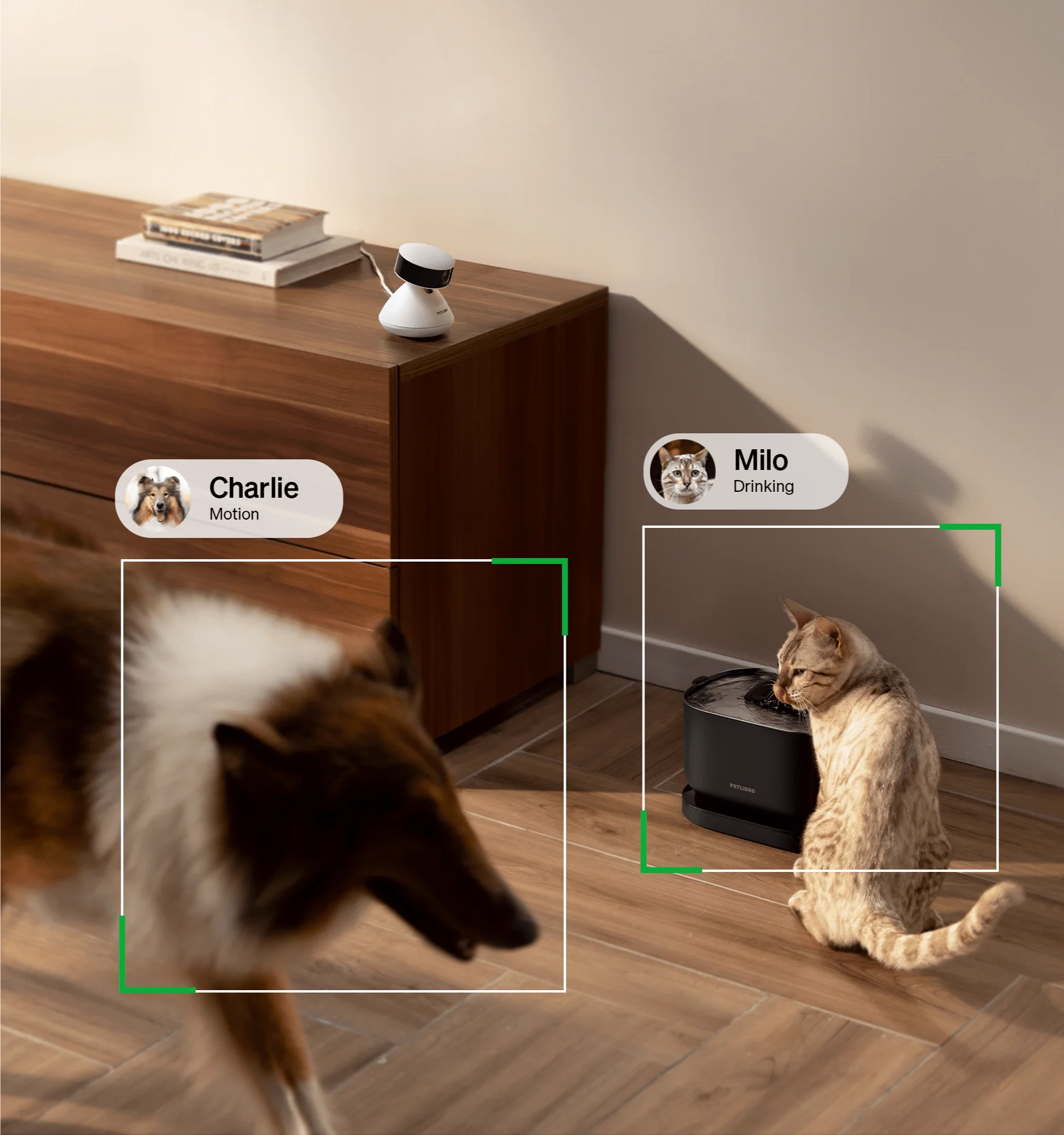 RFID Smart Feeder & Scout Smart Camera - Image 8