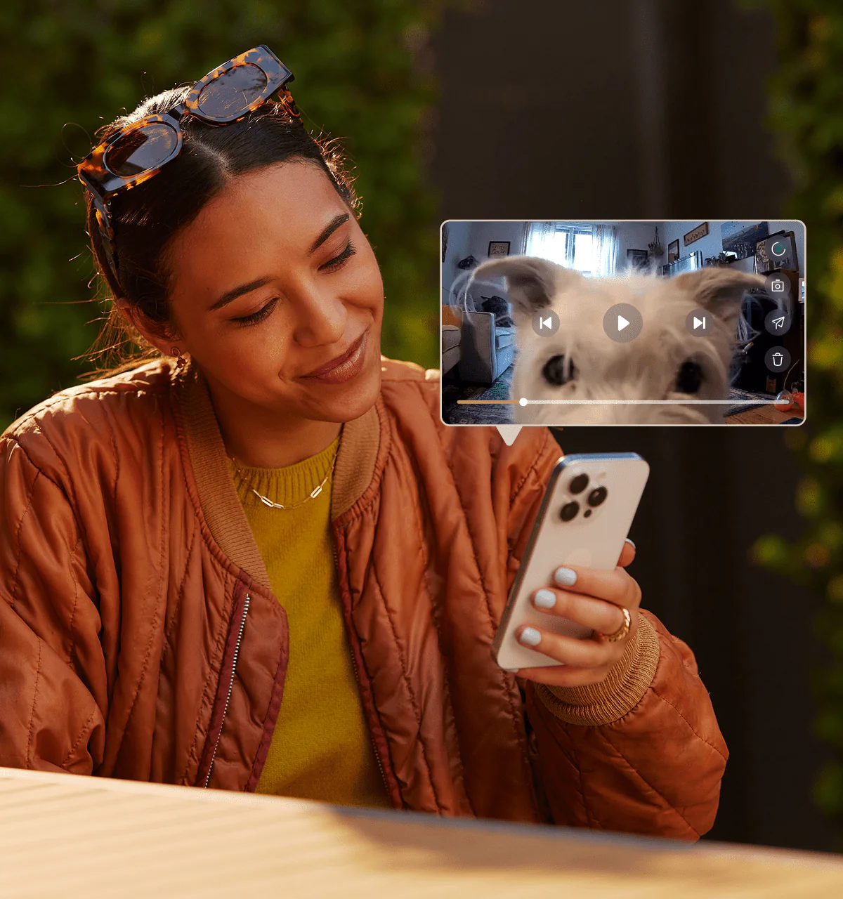 Petlibro Video Cloud AI - Image 3