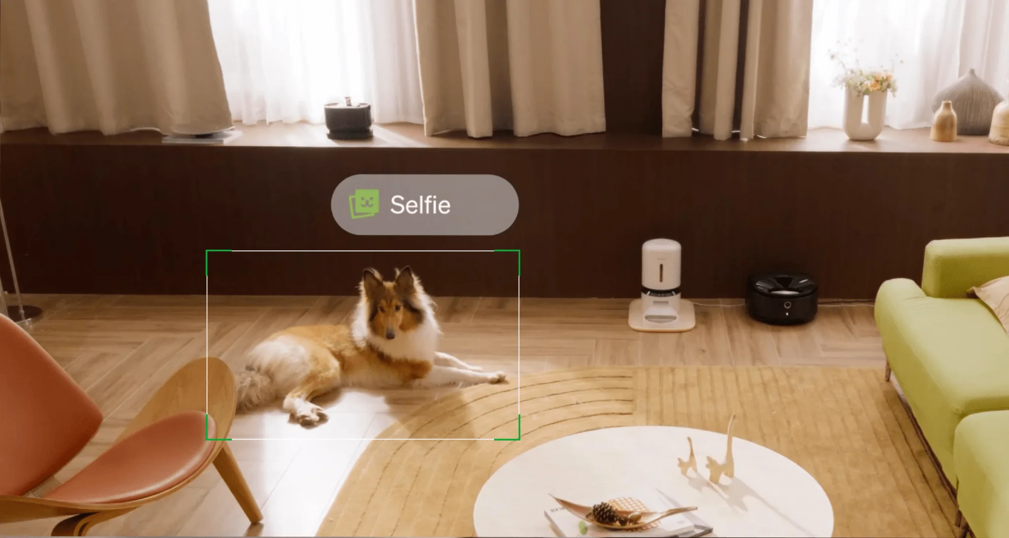 Petlibro Video Cloud AI - Image 4